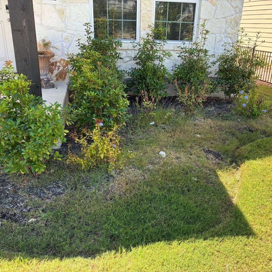 Yard work Austin TX