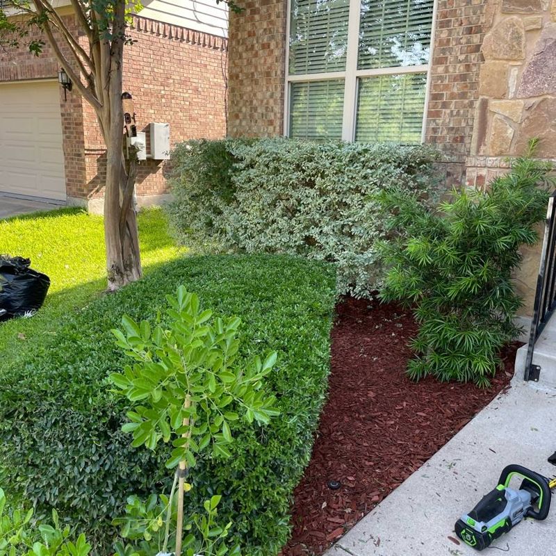 Branch & Hedge Trimming Austin TX