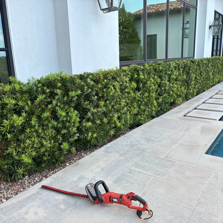 Landscaping Austin TX