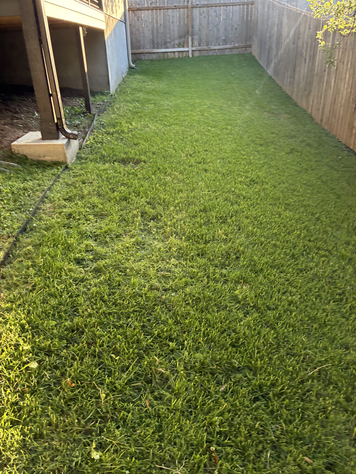 Lawn mowing service Austin TX