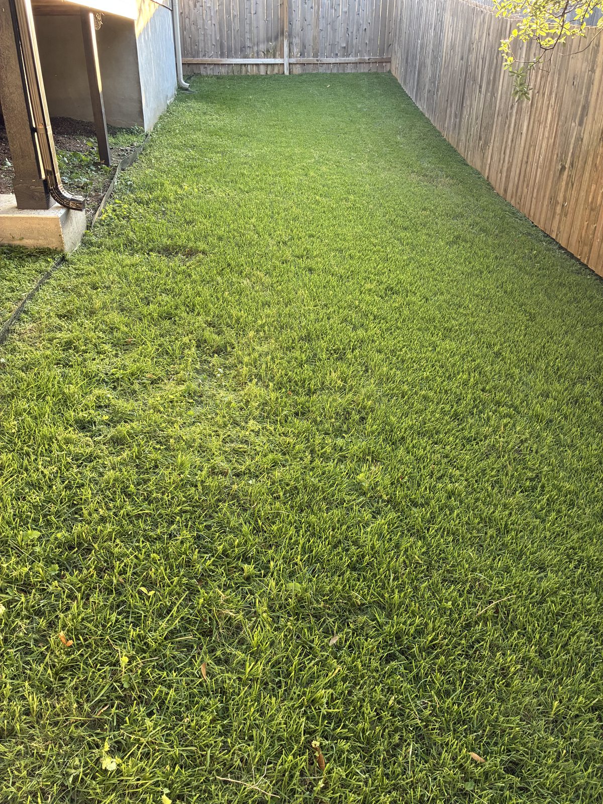 Healthy green lawn maintenance Austin TX